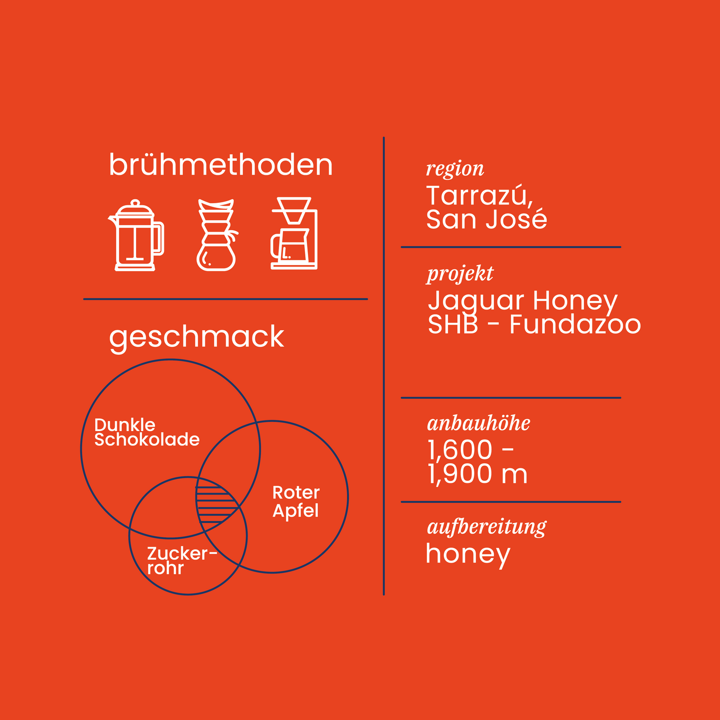 Costa Rica Projektkoffie Nr. 4